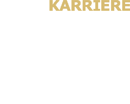 Karriere
