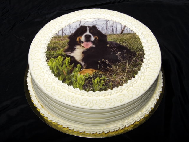 Foto Torte Foto Rund